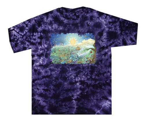 Mens Grateful Dead Summer Tour Tie-Dye T-Shirt - HalfMoonMusic