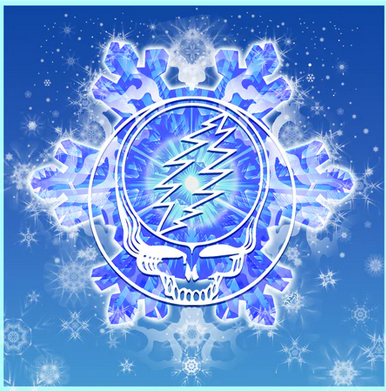 Grateful Dead Stealie Snowflake Mike DuBois Art Print - HalfMoonMusic