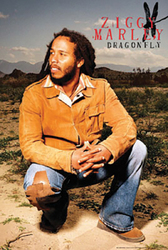 Ziggy Marley Dragonfly Poster - HalfMoonMusic