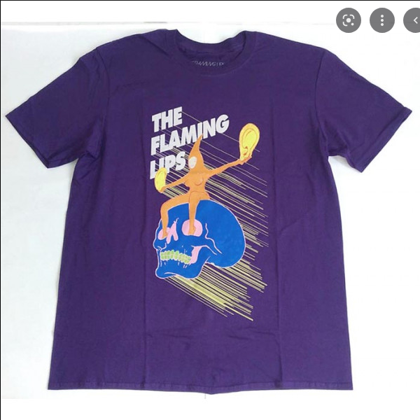 Men's The Flaming Lips Skull Rider T-Shirt - HalfMoonMusic