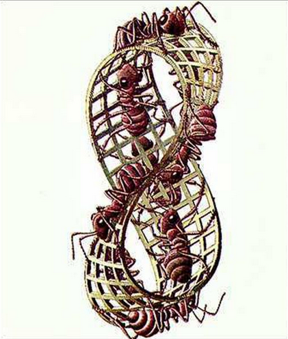 Mobius MC Escher Art Print - HalfMoonMusic