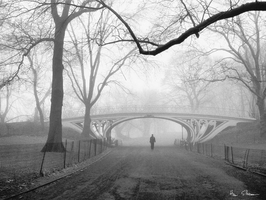 Gothic Bridge Central Park NYC Art Print - HalfMoonMusic
