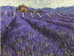 Lavender Fields I Art Print - HalfMoonMusic