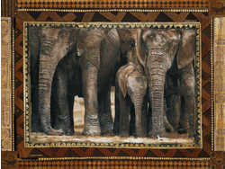 Elephants Art Print - HalfMoonMusic