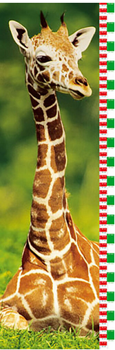 Giraffe Growing up Chart Art Print - HalfMoonMusic