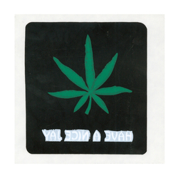 Have a Nice Jay Window Sticker - HalfMoonMusic