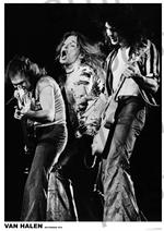 Van Halen Poster - HalfMoonMusic