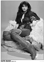 Kate Bush Poster - HalfMoonMusic