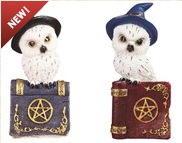 Owl on Book Set - HalfMoonMusic