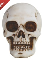Skull Statue - HalfMoonMusic