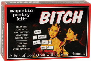 Magnetic Poetry Kit: Bitch Edition - HalfMoonMusic