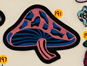 Pink and Blue Mushroom Patch - HalfMoonMusic