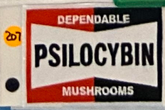 Psilocybin Patch - HalfMoonMusic