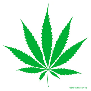 Pot Leaf Clear Sticker - HalfMoonMusic