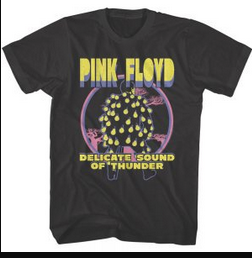 Men's Pink Floyd Delicate T-Shirt - HalfMoonMusic