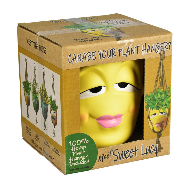 Best Buds Hanging Flower Pot - HalfMoonMusic