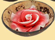 Coconut Shell Flower Spa Candle - HalfMoonMusic