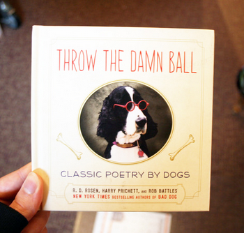 Throw the Damn Ball Hardcover Book - HalfMoonMusic