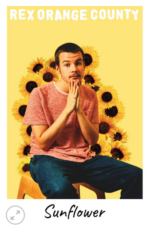 11x17 Rex Orange County Countertop Poster - HalfMoonMusic