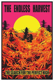 Endless Harvest Poster - HalfMoonMusic