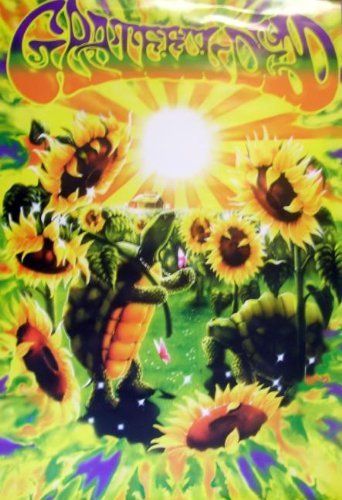 Grateful Dead: Terrapin Sunflower Poster - HalfMoonMusic
