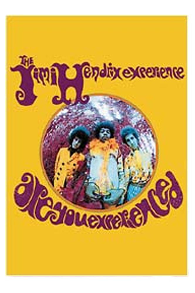 Jimi Hendricks "Are You Experienced" Fabric Poster - HalfMoonMusic