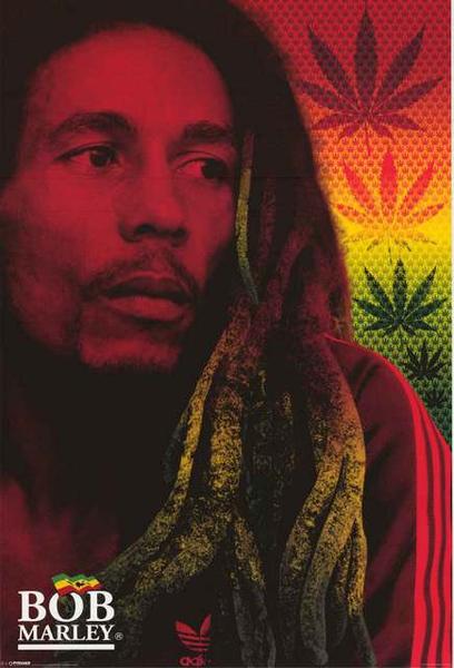Bob Marley Dreads Poster - HalfMoonMusic