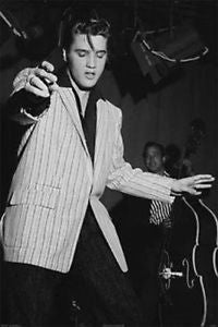 Elvis Hips Poster - HalfMoonMusic